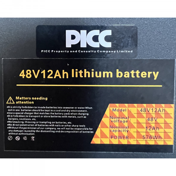 48V 12Ah lithium battery for Mini Scooter S162